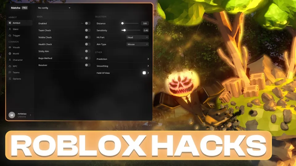 I TESTED A $10 ROBLOX CHEAT ... IS IT ANY GOOD??